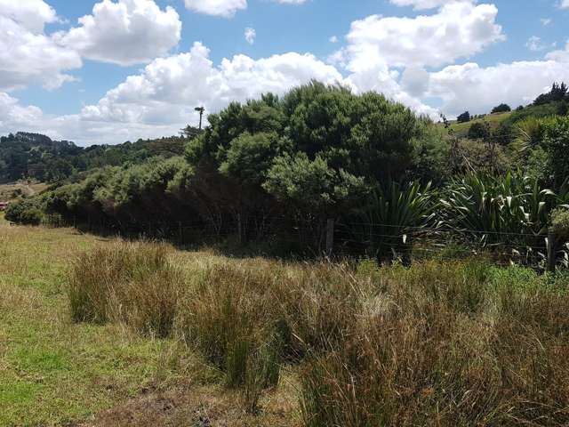 Te Pahi River Drive Paparoa_4