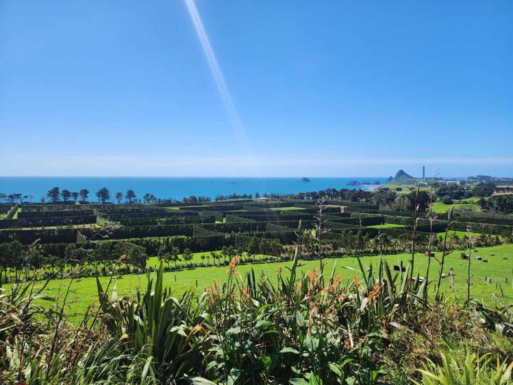 12 Sutton Road Omata_23