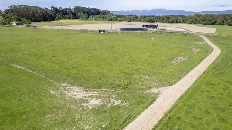 162 Hamua Hukanui Road Eketahuna_17