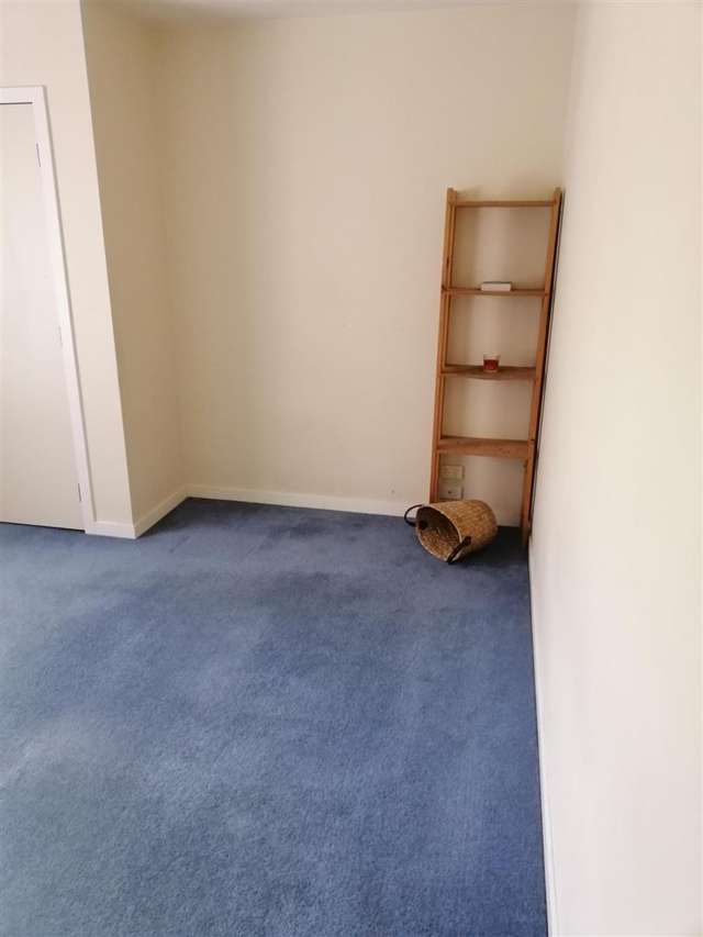 11 Brown Road Warkworth_1