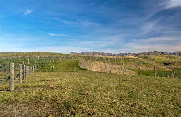 5468 State Highway 1 Seddon_22