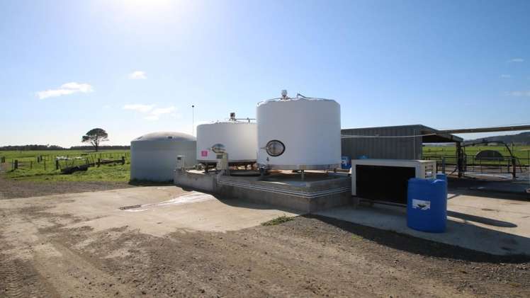 98 Mccracken Road Edgecumbe_3