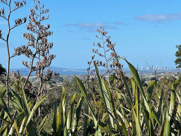 48 Christian Road Swanson_15