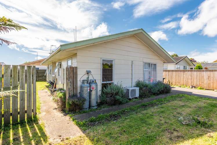 179 Tiro Tiro Road Levin_11