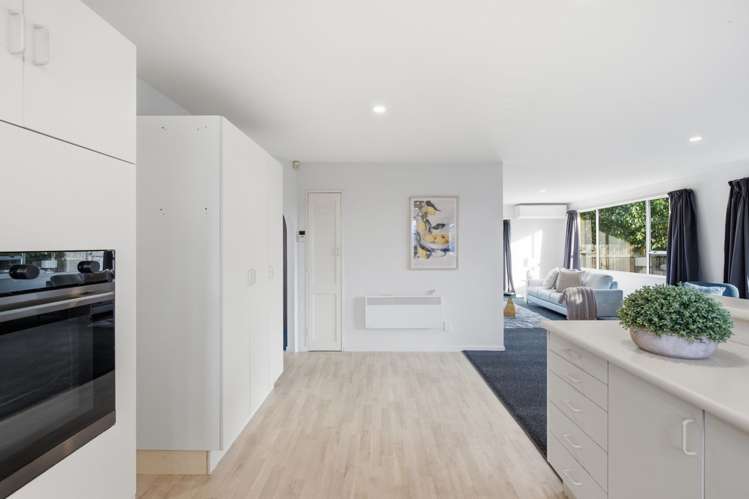 26 Cicada Place Riccarton Park_12