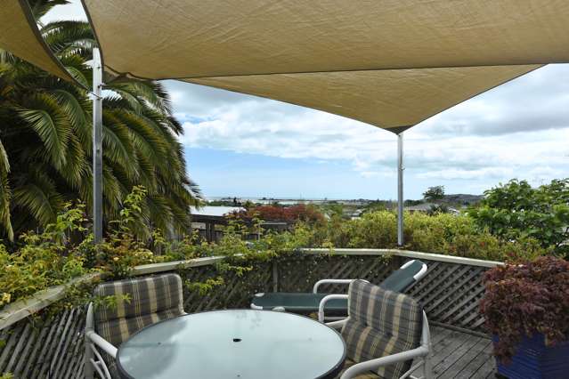 56 Marlborough Crescent Richmond_2