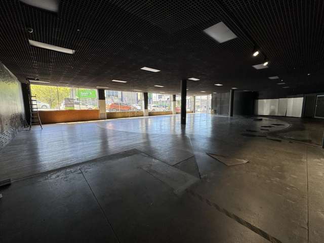 181 Vivian Street Te Aro_1