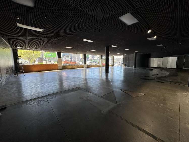 181 Vivian Street Te Aro_5