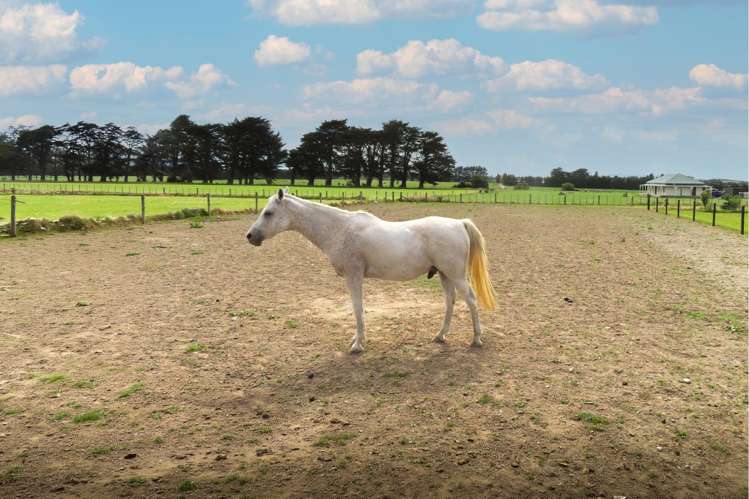 490 Maharahara Road Dannevirke_16