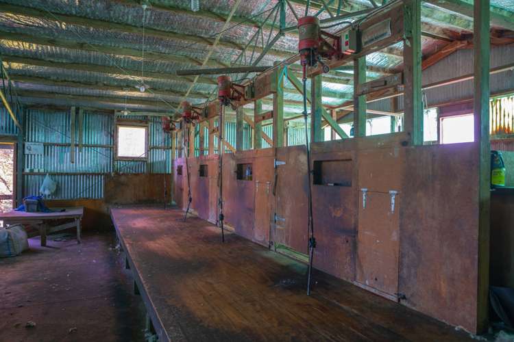 229 Rangikohua Road Tolaga Bay_23