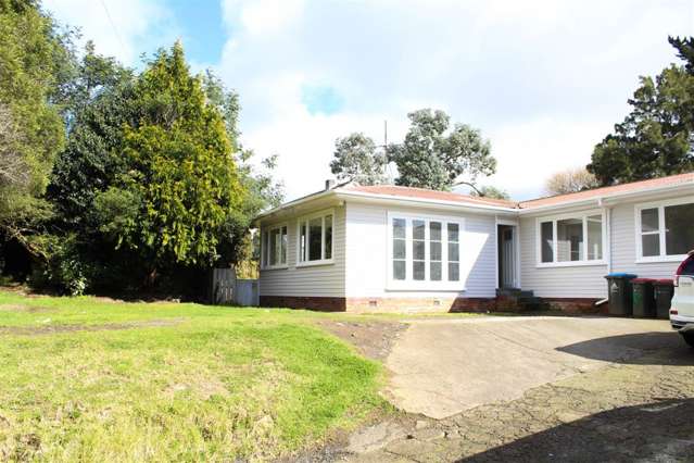 12 Trenwith Street Otahuhu_1