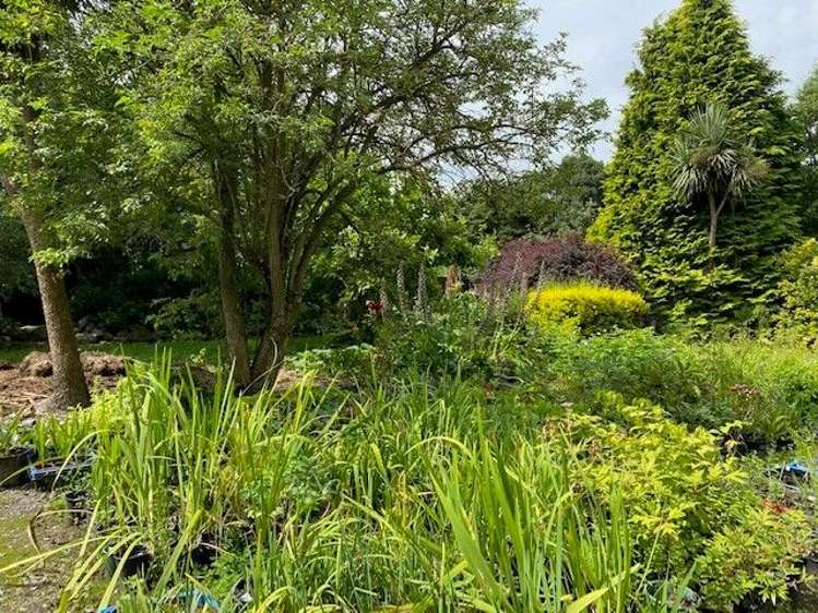 8a Coles Street Geraldine_2