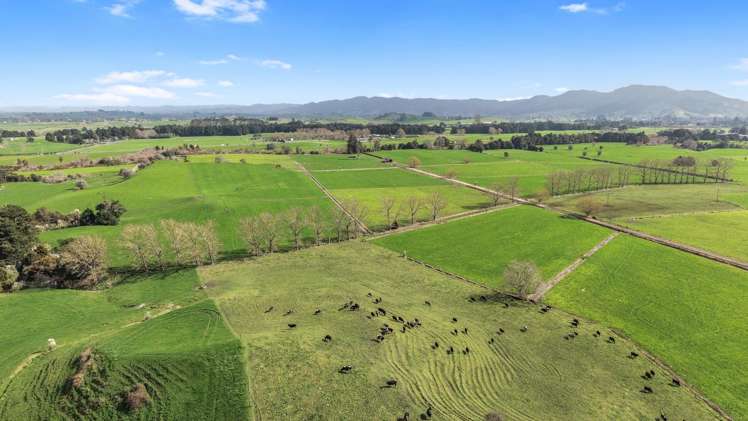 291 Waring Road Taupiri_43