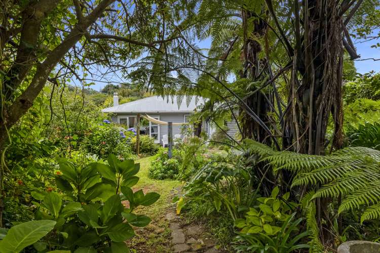 126 Huatoki Street Frankleigh Park_18