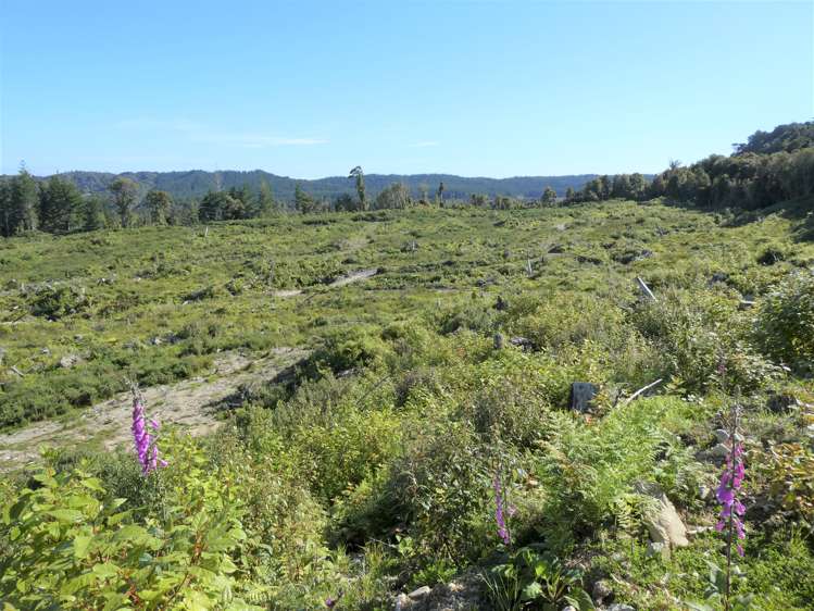 756b Rutherglen Road Marsden_7