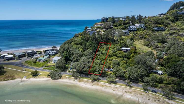 114 Paku Drive Tairua_3