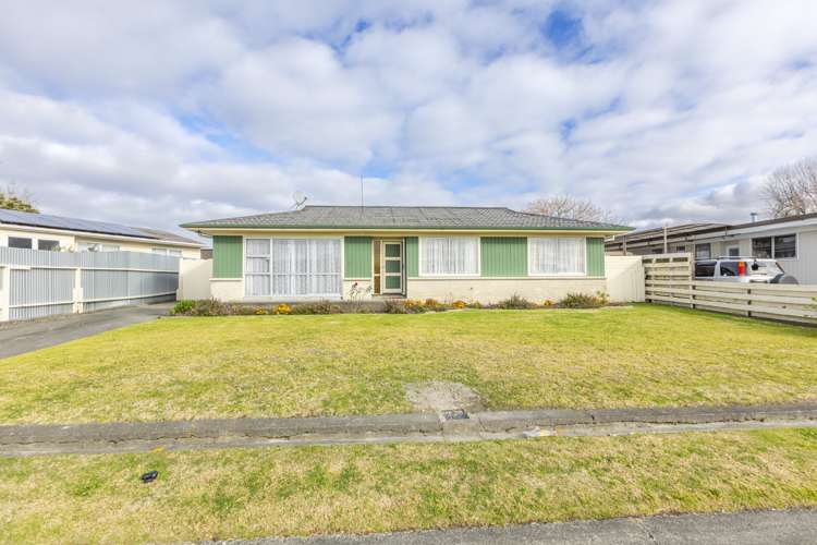 9 Coventry Avenue Tamatea_17