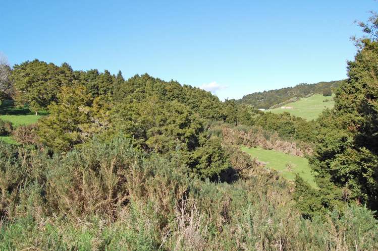 36 Tawa Avenue Kaiwaka_7