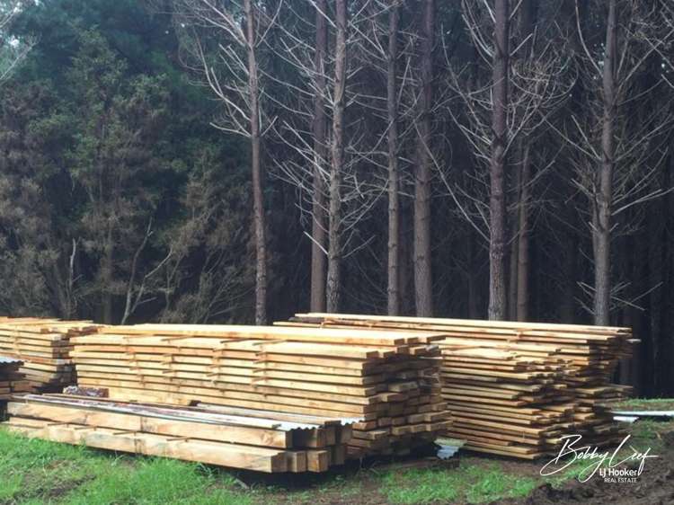 139 Warner Road Takahue_5