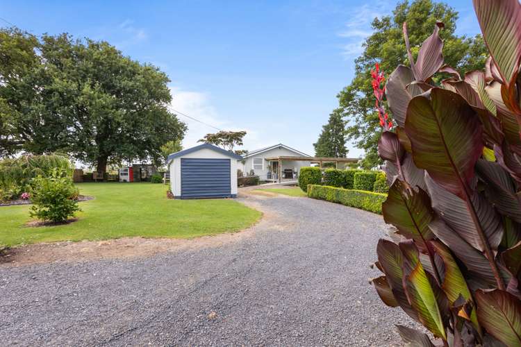 1816b Te Aroha-Gordon Road Gordon_12