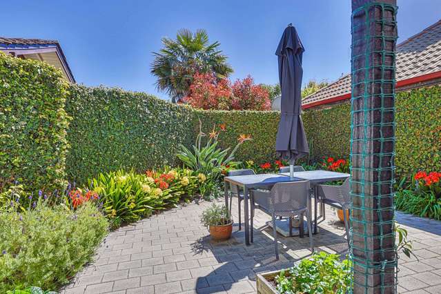 2/509 Fitzroy Avenue Hastings_1