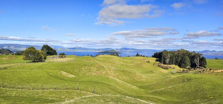 517 Te Waerenga Road Hamurana_18