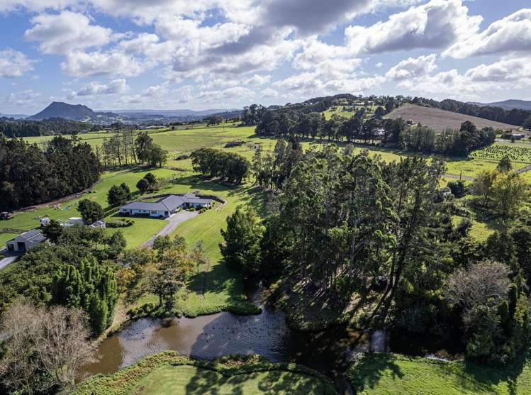 587c Crane Road Kauri_31
