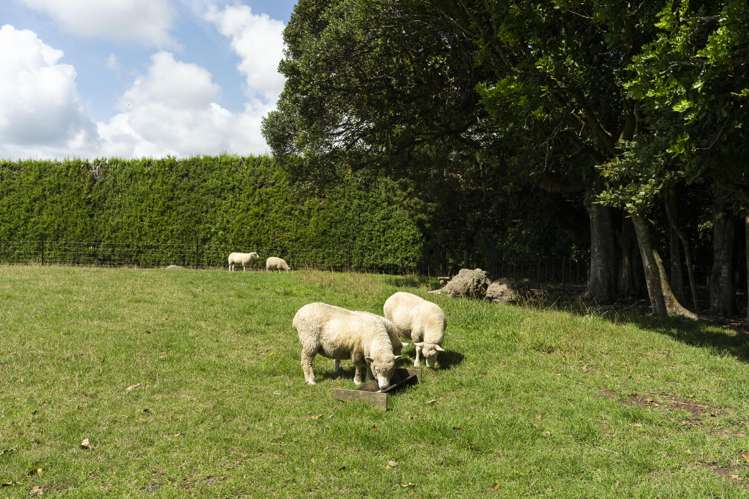 37 Kara Road Maungatapere_32