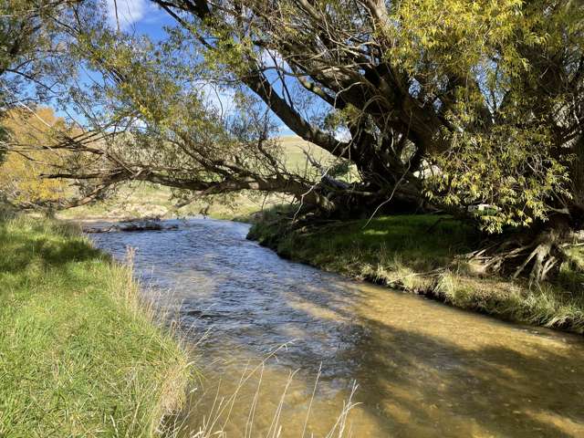 Kinney Road Chatto Creek_4