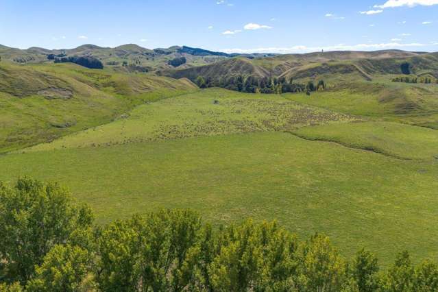 300 Pattison Road Waipukurau_2