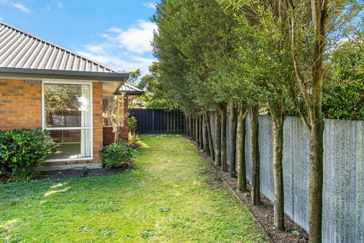 2/45b Trafford Street 10174_20