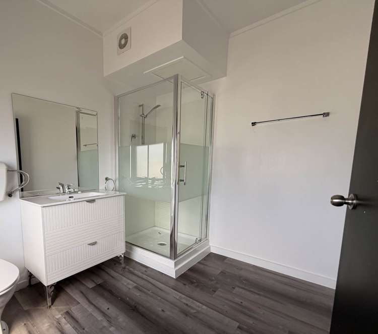 224A Dominion Road Mt Eden_9