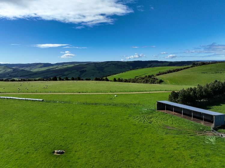 30 Frazer Road Gore Surrounds_19