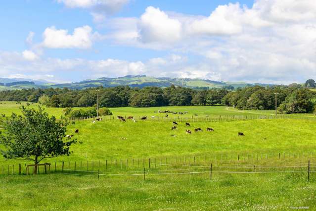 164c Maxwell Road Maramarua_1