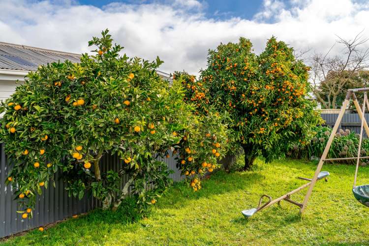 17 Sackville Street Martinborough_17