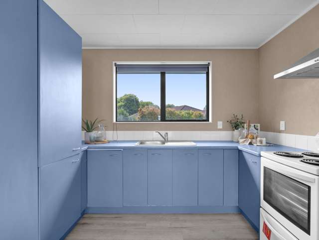 128 Brookfield Street Hamilton East_4