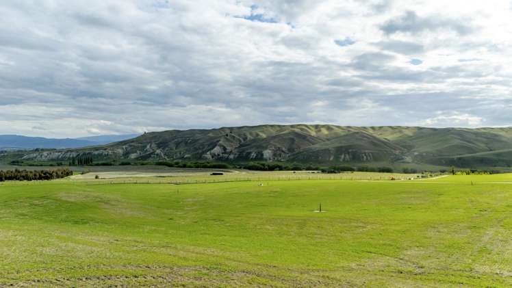 Corrigall Road Chatto Creek_2