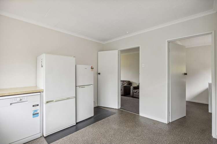 17a Buccleugh Street North East Valley_6