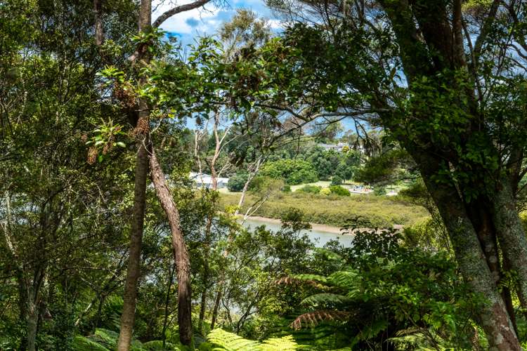 131 Colwill Road Massey_9