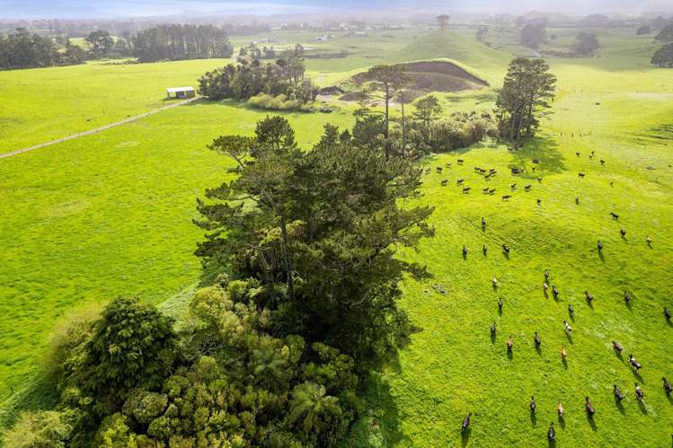 677 Newall Road Newall_19