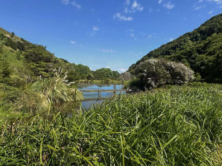 Matokitoki Valley Road Matokitoki_22