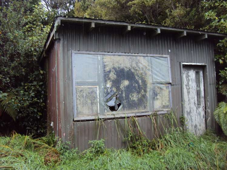858 Shwy 67 Nikau Kahurangi National Park_7