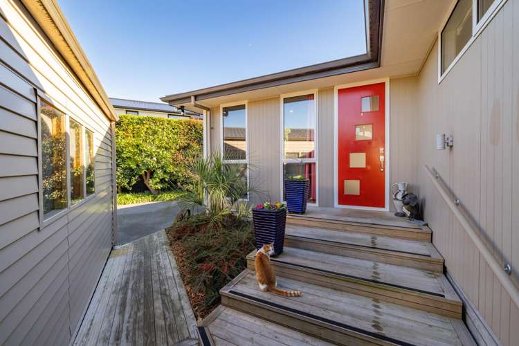 27 Roxburgh Street Sydenham_19