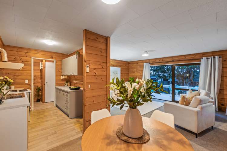 29b Nukumea Common Orewa_5