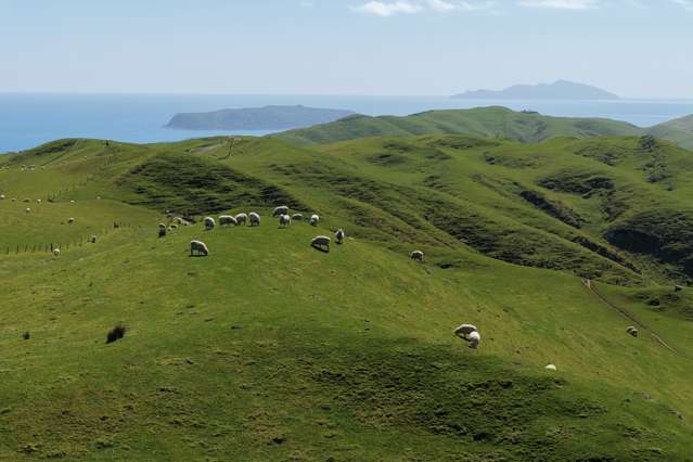 309 - 317 Boomrock Road Ohariu_2