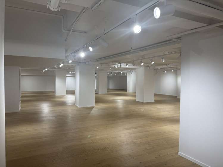 210 Queen Street Auckland Central_2