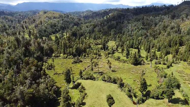 250 Granite Creek Road Karamea_2