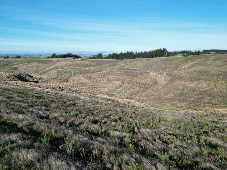 Lot 2/339 Rankleburn Road Rankleburn_10