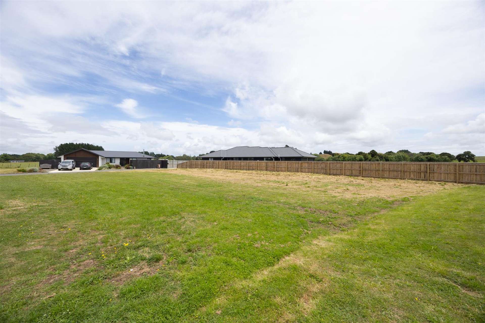 38 George Street Bulls_0