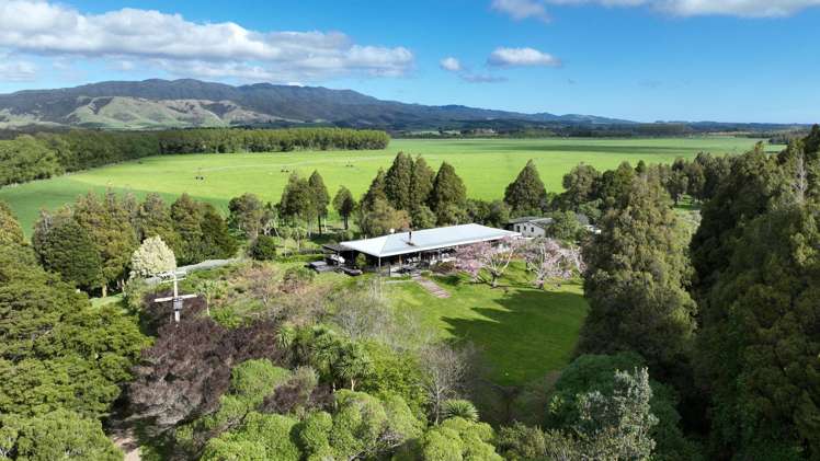 1807 Kahutara Road Kahutara_17